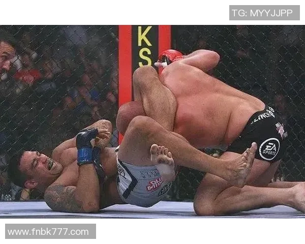 UFC温盾对决菲多精彩回顾与赛后分析揭示拳坛新格局