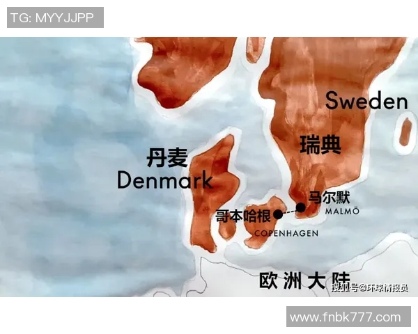 瑞典与丹麦篮球实力对比分析谁将赢得胜利